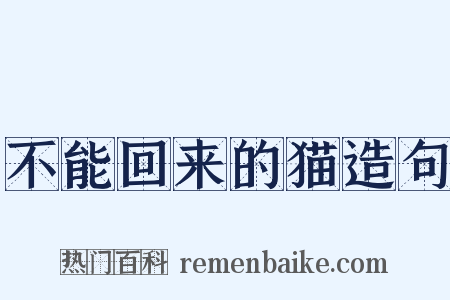 不能回来的猫造句是什么意思的图片